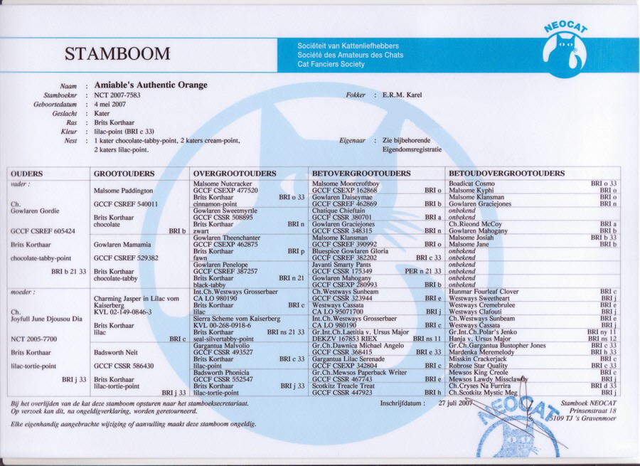 Stamboom Bailey